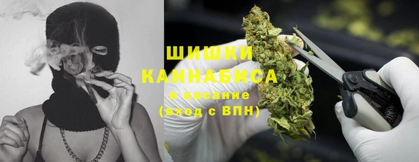mdma Каменка