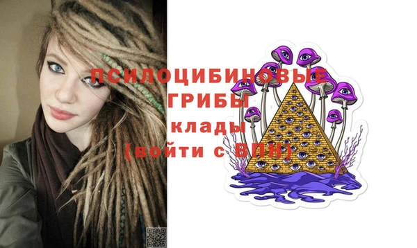 mdma Каменка