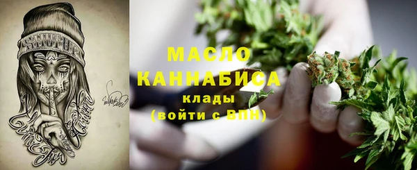 гидра Инта